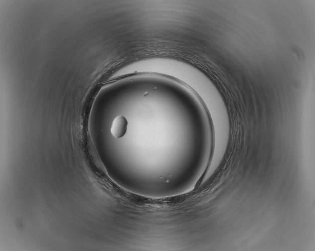 X0000111900552200908031119