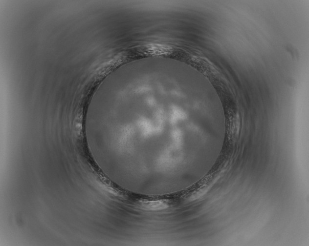 X0000111900553200908031119