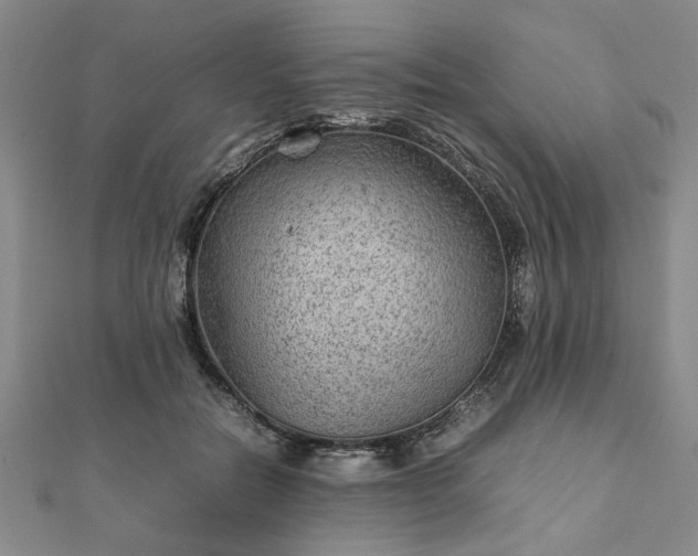 X0000111900554200908031119