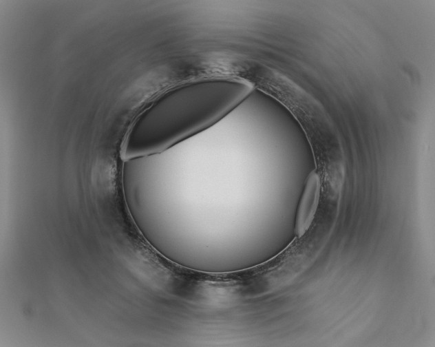 X0000111900556200908031119