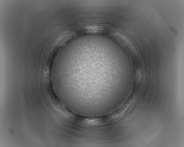 X0000111900557200908031119