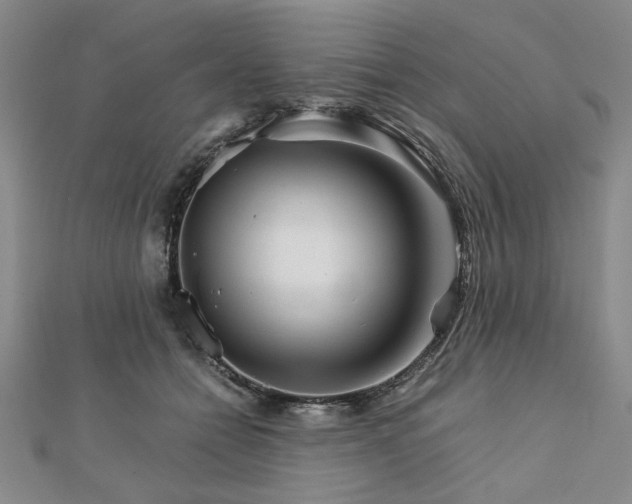 X0000111900558200908031119