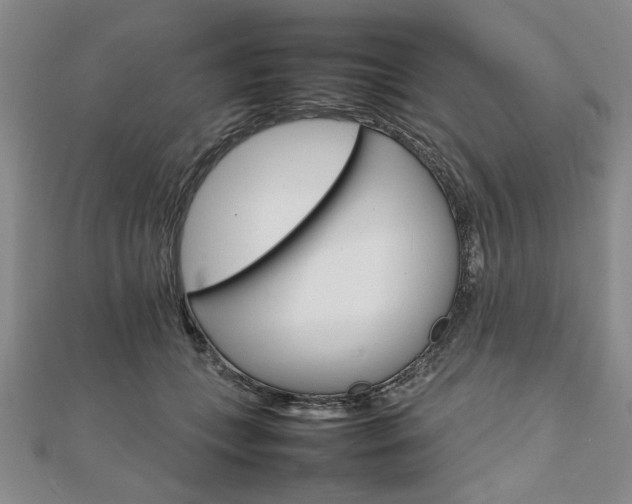 X0000111900559200908031119