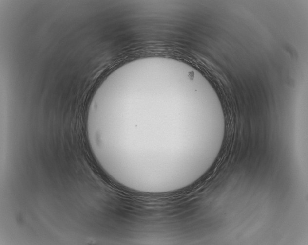 X0000111900560200908031119