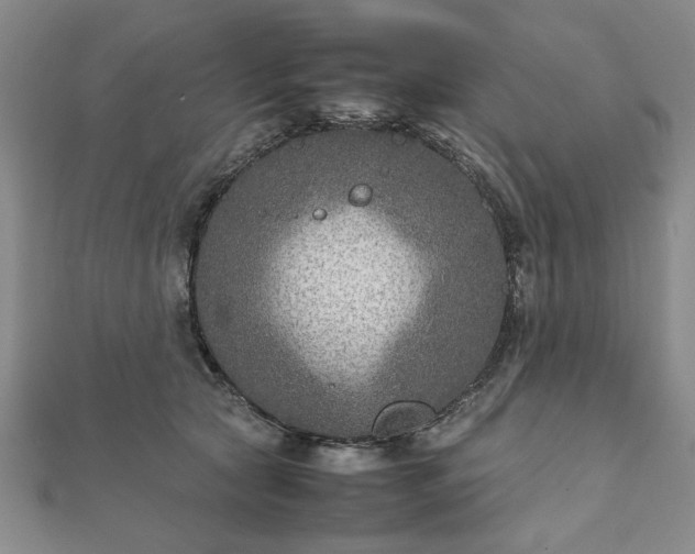 X0000111900561200908031119