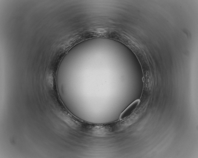 X0000111900562200908031119