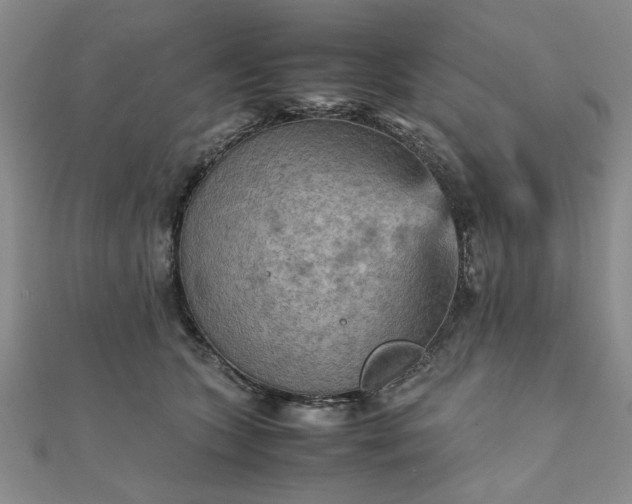 X0000111900563200908031119