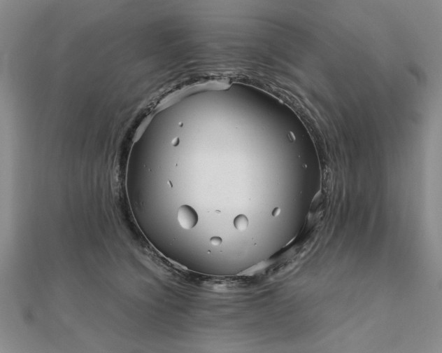 X0000111900564200908031119