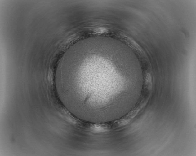 X0000111900565200908031119