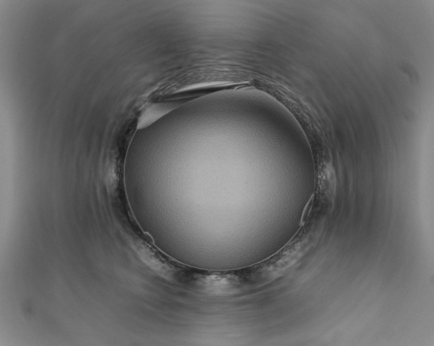 X0000111900566200908031119