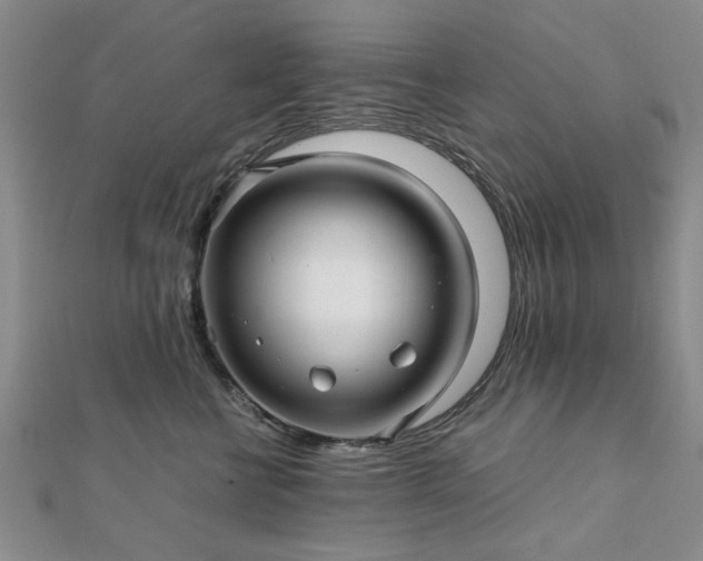 X0000111900570200908031119