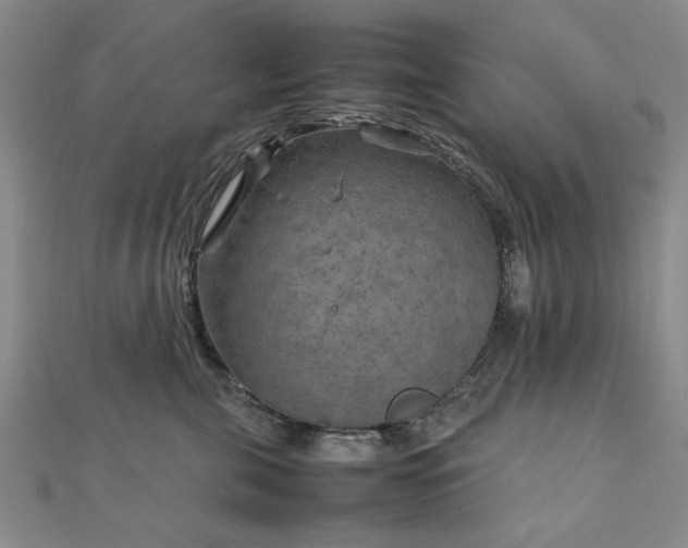 X0000111900571200908031119