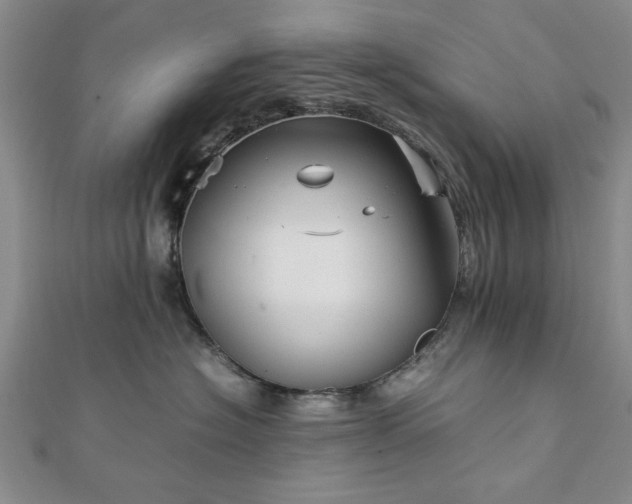 X0000111900574200908031119