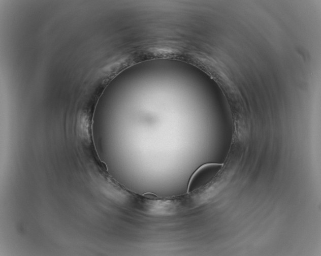 X0000111900575200908031119