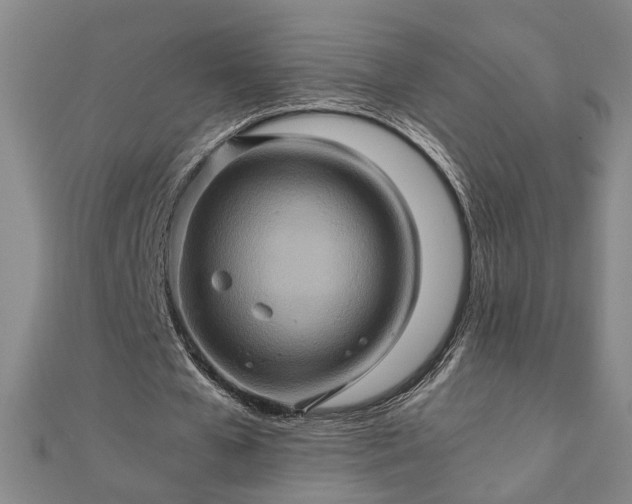 X0000111900577200908031119