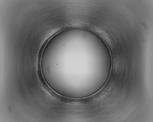 X0000111900578200908031119