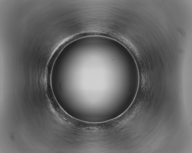 X0000111900580200908031119