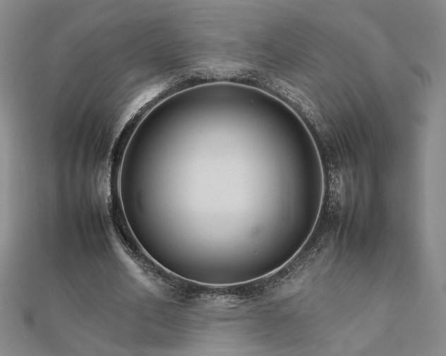 X0000111900582200908031119