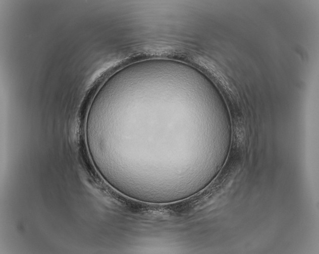 X0000111900583200908031119