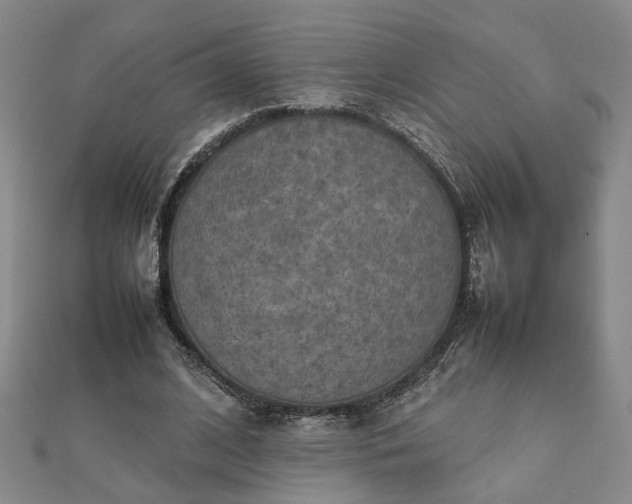 X0000111900584200908031119