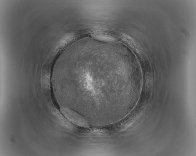 X0000111900585200908031119