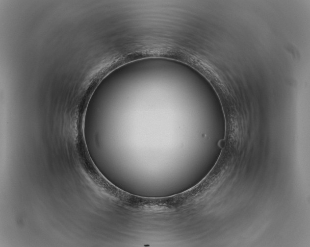 X0000111900586200908031119