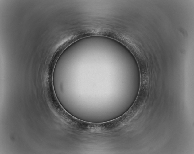 X0000111900587200908031119