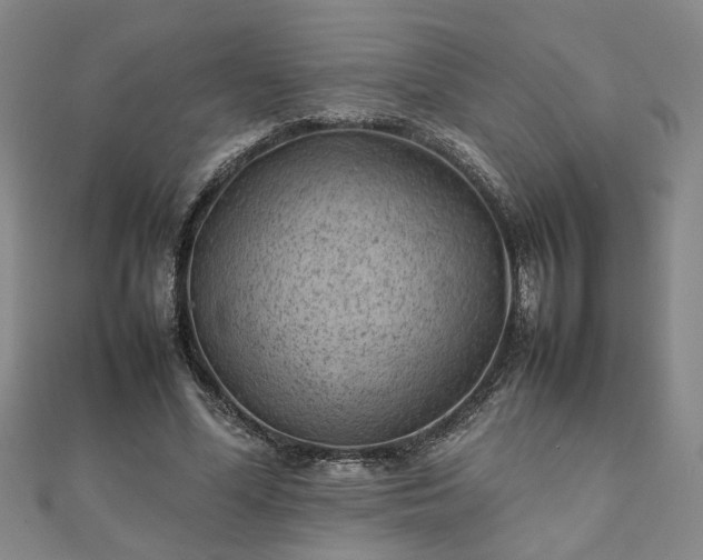 X0000111900588200908031119