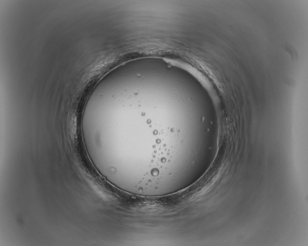 X0000111900589200908031119