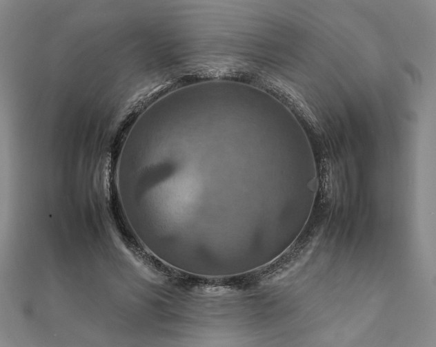 X0000111900590200908031119