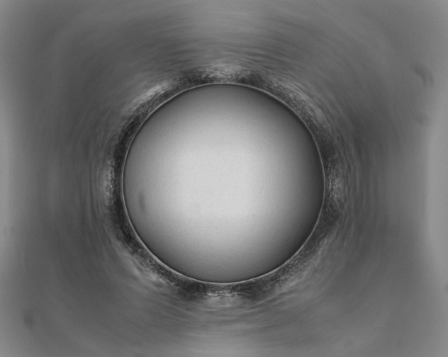 X0000111900591200908031119