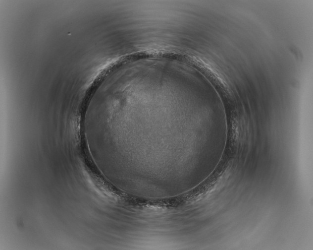 X0000111900592200908031119