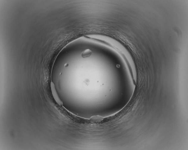 X0000111900593200908031119