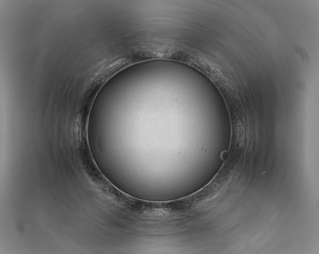 X0000111900594200908031119