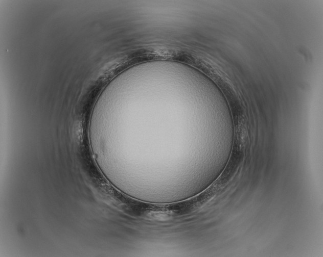 X0000111900595200908031119