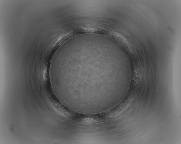 X0000111900596200908031119