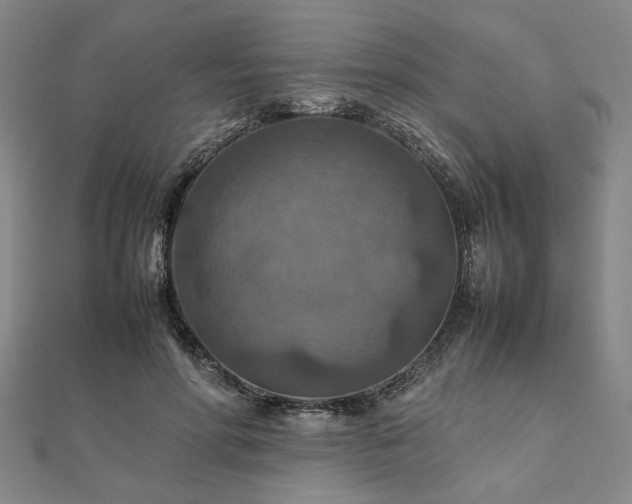 X0000111900598200908031119