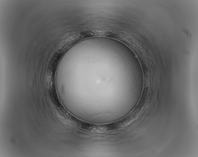 X0000111900599200908031119