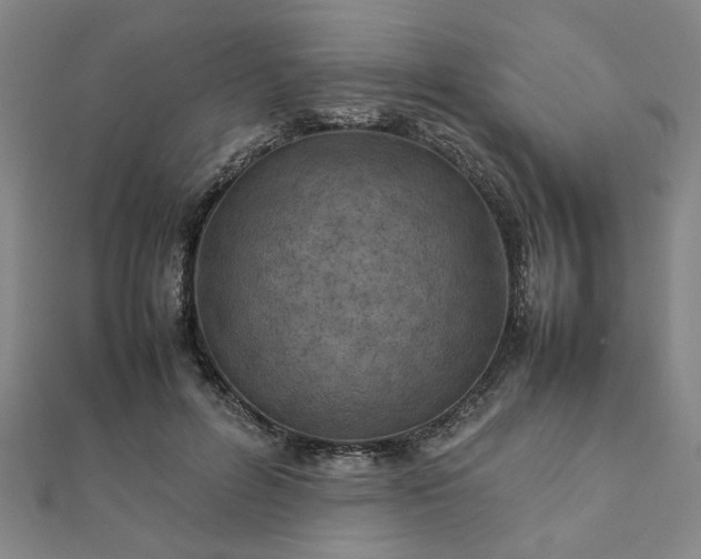 X0000111900600200908031118