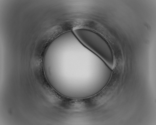 X0000111900601200908031118