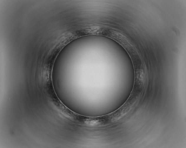 X0000111900602200908031118