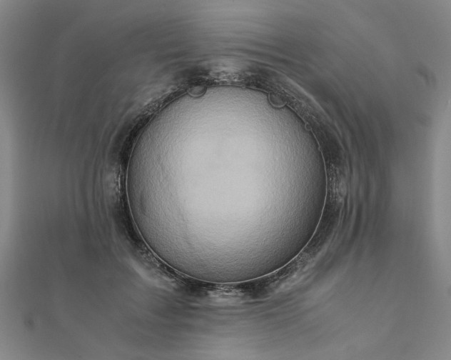 X0000111900603200908031118