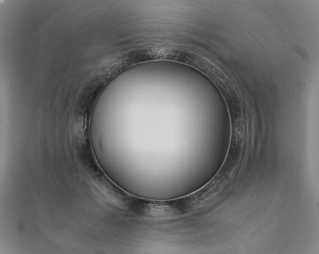 X0000111900605200908031118