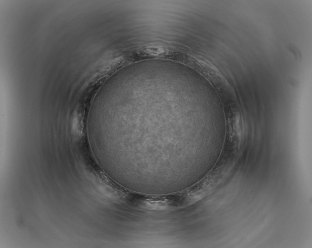 X0000111900606200908031118