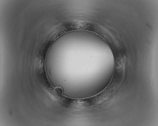 X0000111900607200908031118