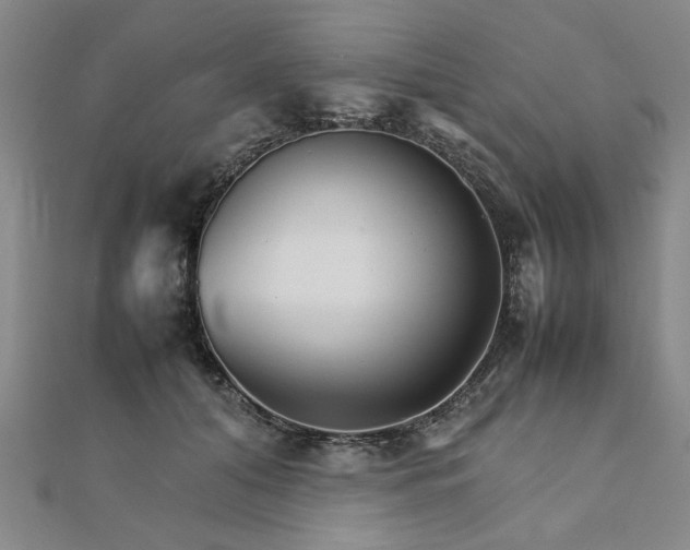 X0000111900608200908031118