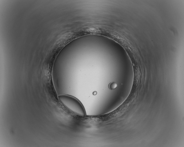 X0000111900609200908031118