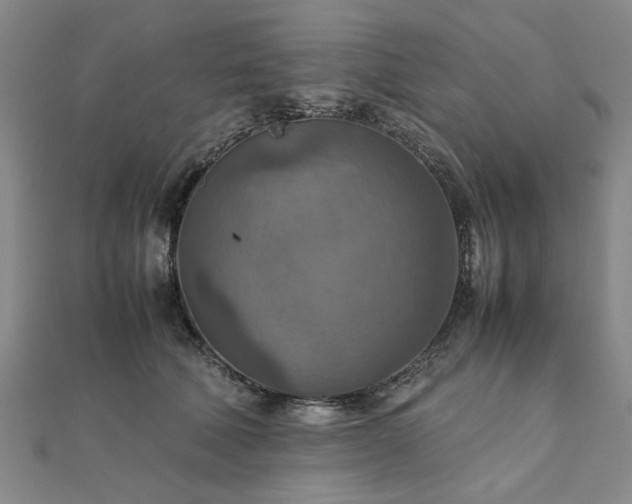 X0000111900610200908031118