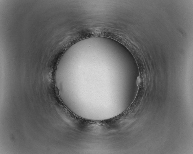 X0000111900611200908031118