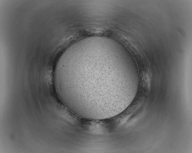 X0000111900612200908031118